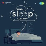 Sanam Hindi Lofi - DJYOU2 Song Download